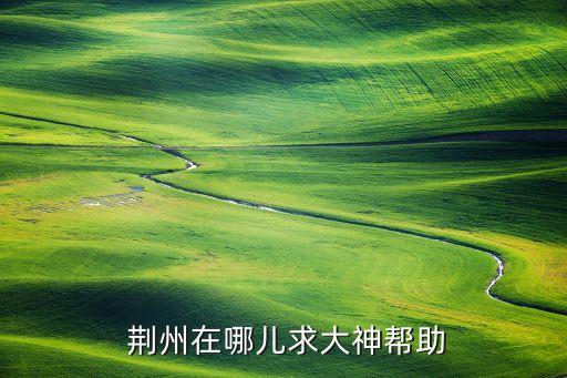  荆州在哪儿求大神帮助