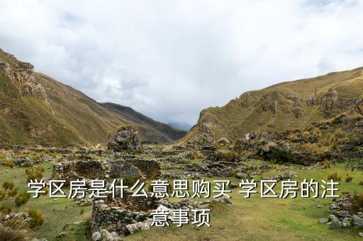  学区房是什么意思购买 学区房的注意事项