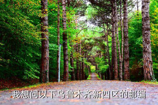 我想问以下乌鲁木齐新四区的邮编