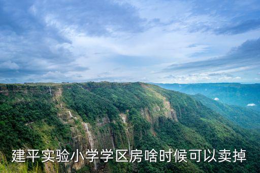 建平实验小学学区房啥时候可以卖掉