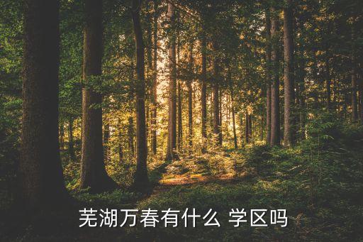  芜湖万春有什么 学区吗