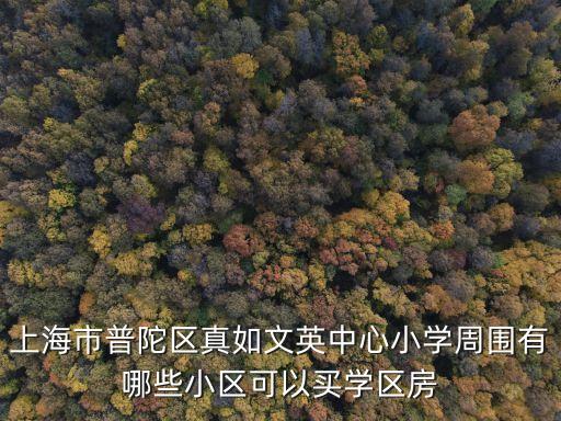 什么是普陀区学区房，上海市普陀区真如文英中心小学周围有哪些小区可以买学区房