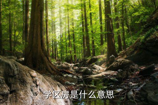 学区房是什么意思