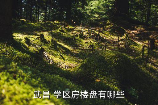 武昌 学区房楼盘有哪些