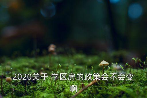 2020关于 学区房的政策会不会变啊