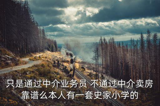 只是通过中介业务员 不通过中介卖房靠谱么本人有一套史家小学的