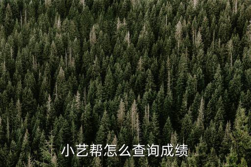 小艺帮怎么查询成绩