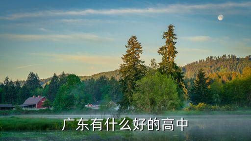 广东有什么好的高中