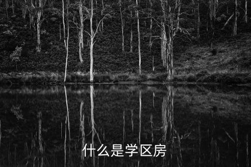 什么是学区房