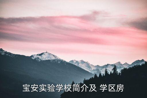 宝安实验学校简介及 学区房