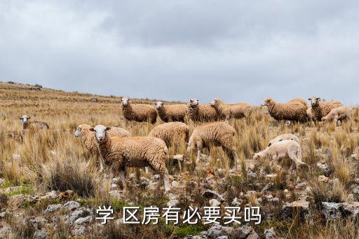 学 区房有必要买吗