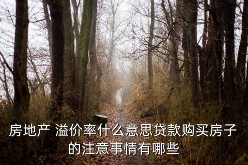 房地产 溢价率什么意思贷款购买房子的注意事情有哪些