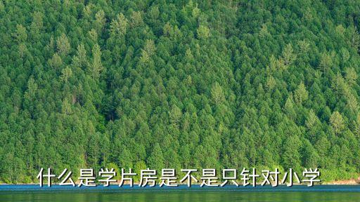 什么是学片房是不是只针对小学
