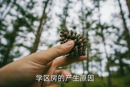 学区房的产生原因