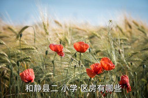 和静县二 小学 区房有哪些