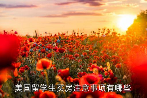 美国留学生买房注意事项有哪些