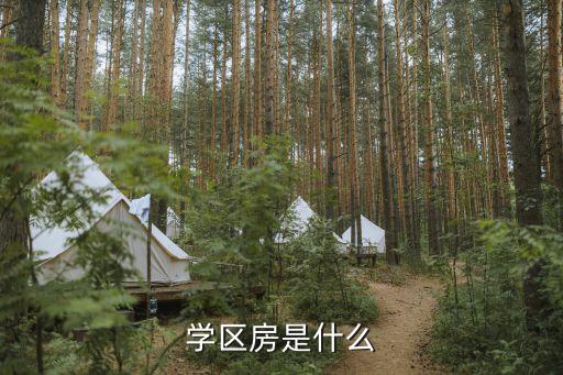 学区房是什么
