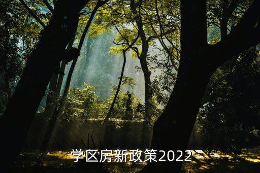  学区房新政策2022