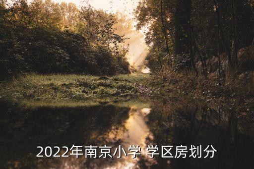 2022年南京小学 学区房划分