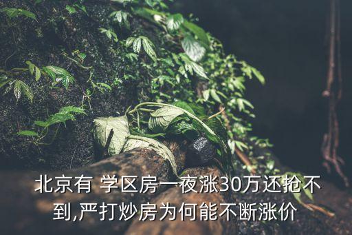  北京有 学区房一夜涨30万还抢不到,严打炒房为何能不断涨价