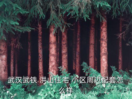 武汉武铁 洪山住宅 小区周边配套怎么样