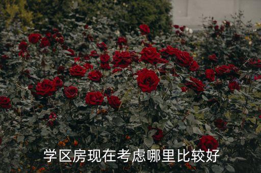  学区房现在考虑哪里比较好