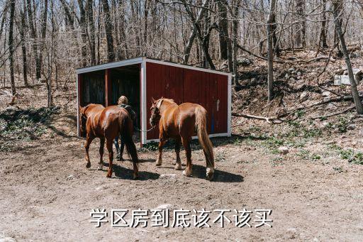 学区房到底该不该买