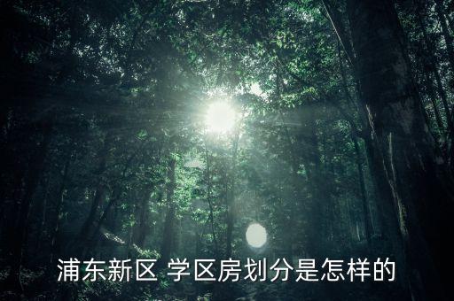 浦东新区 学区房划分是怎样的