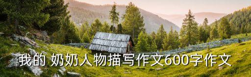 我的 奶奶人物描写作文600字作文