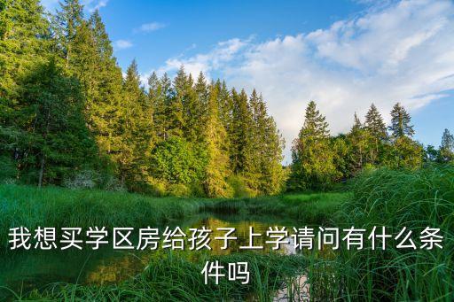 我想买学区房给孩子上学请问有什么条件吗