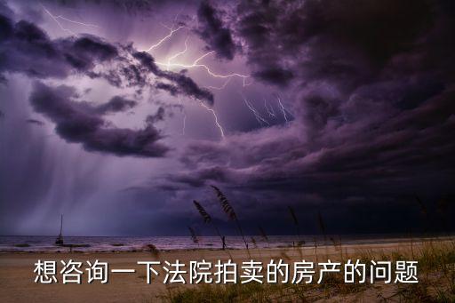 想咨询一下法院拍卖的房产的问题