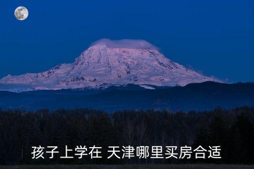 孩子上学在 天津哪里买房合适