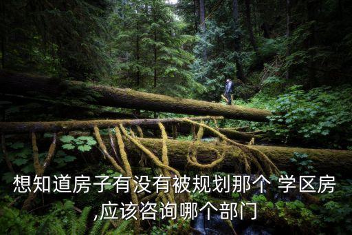 如何查新房的学区房在哪里