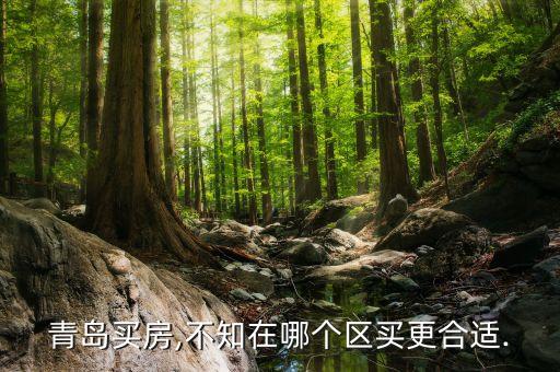 青岛买房,不知在哪个区买更合适.