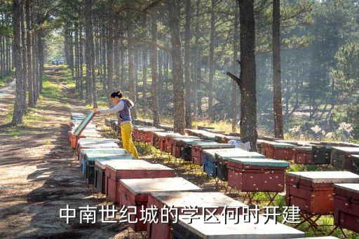 学区房什么时候有消息，学区房凶猛正恒啥时候开盘