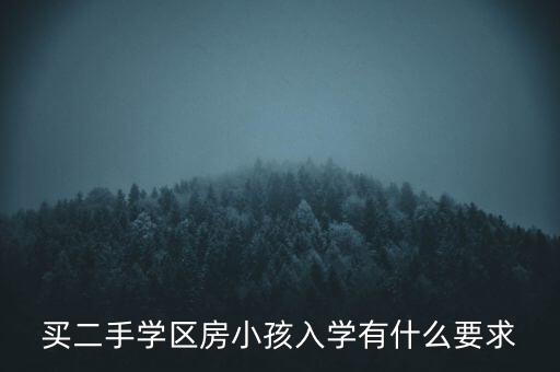 买二手学区房小孩入学有什么要求