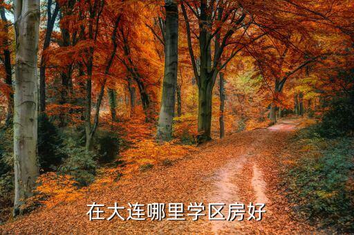 在大连哪里学区房好