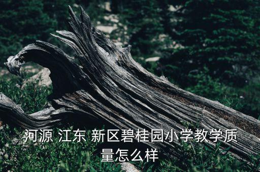  河源 江东 新区碧桂园小学教学质量怎么样