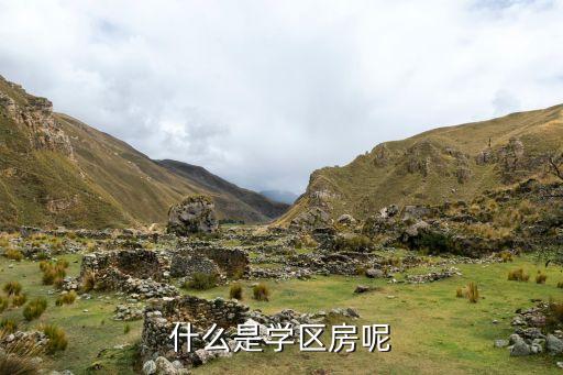 什么是学区房呢