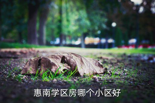 惠南学区房哪个小区好