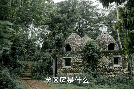 学区房是什么