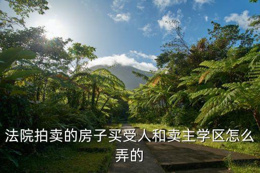 法院拍卖的房子买受人和卖主学区怎么弄的