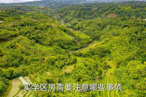 买学区房需要注意哪些事项