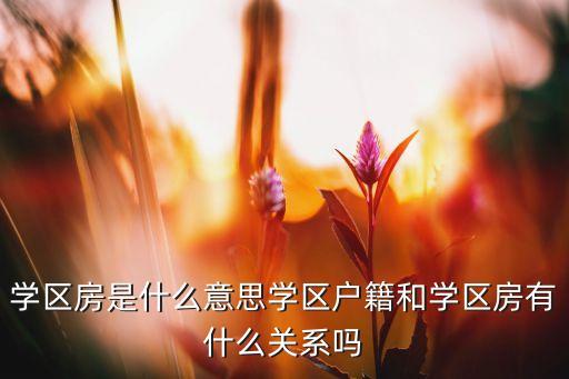 一线城市中的学区房是什么，什么是学区房