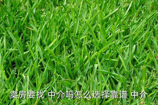 卖房要找 中介吗怎么选择靠谱 中介