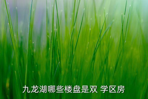 九龙湖哪些楼盘是双 学区房