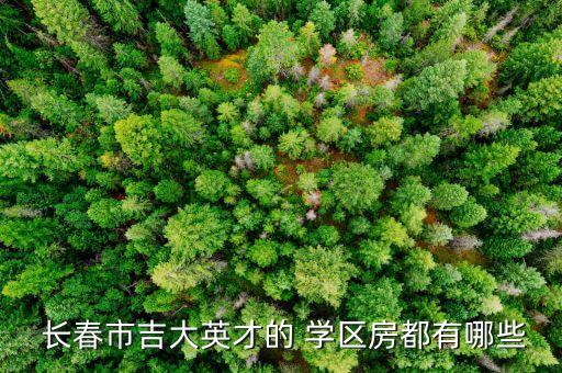  长春市吉大英才的 学区房都有哪些