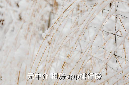 哪里租房不需要中介费,不需要中介费的租房app