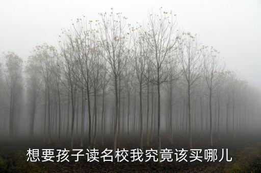想要孩子读名校我究竟该买哪儿