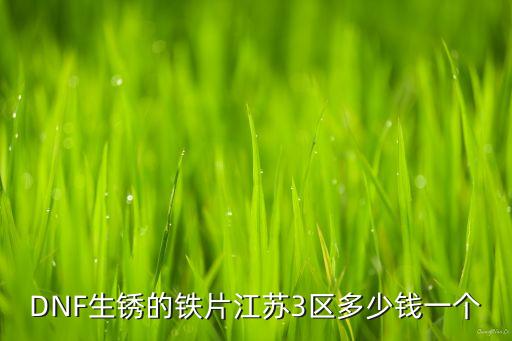 DNF生锈的铁片江苏3区多少钱一个
